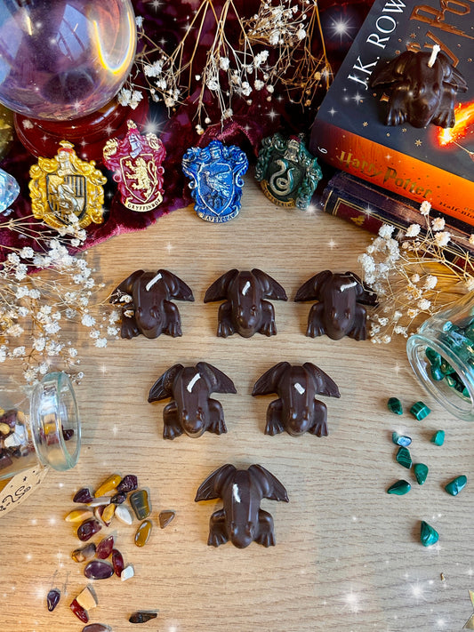 Chocolate Frog Candles (Set of 6)