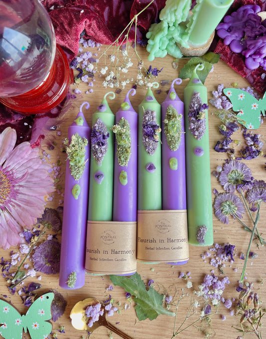 Flourish in Harmony - Intention Candles