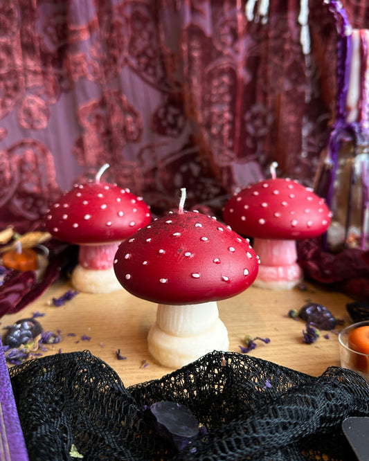 Mushroom Candle